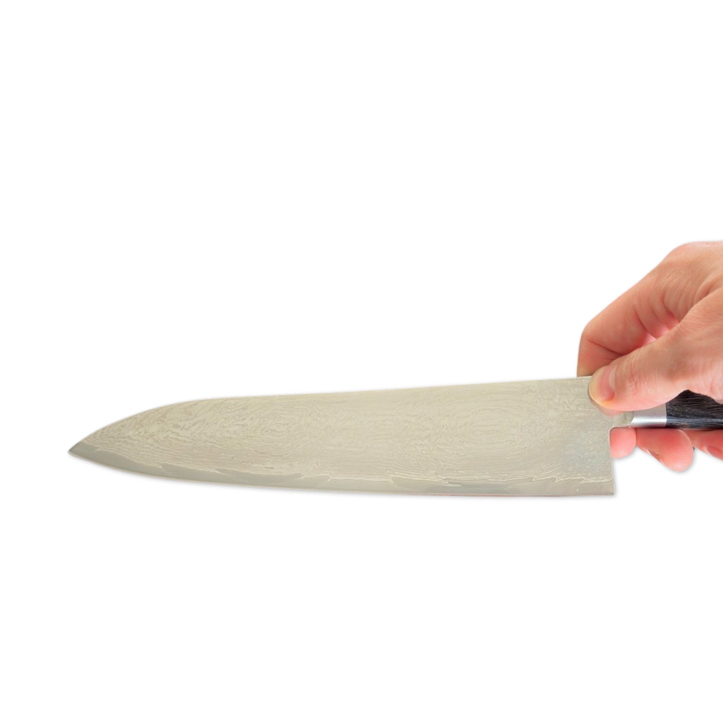 Senretsu Damascus - Gyuto 210mm